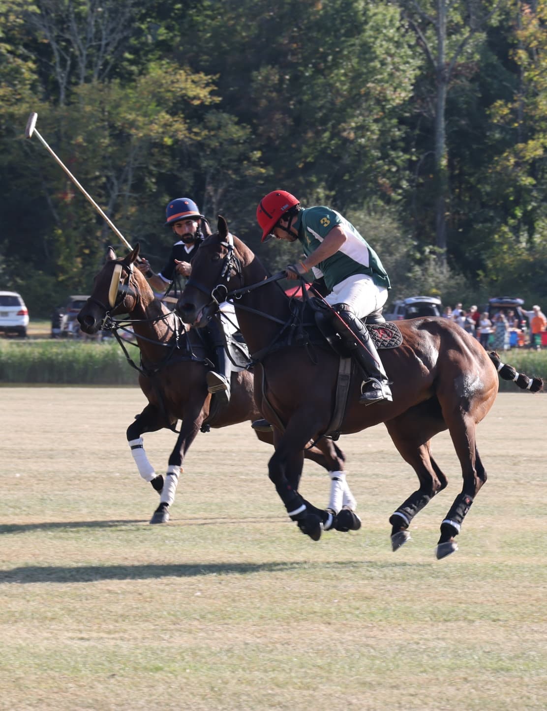 Polo action shot