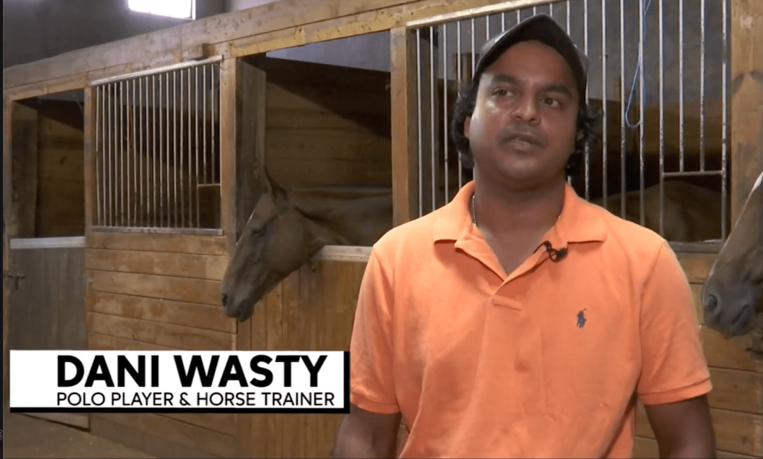 Dani Wasty featured on ABC7 New York
