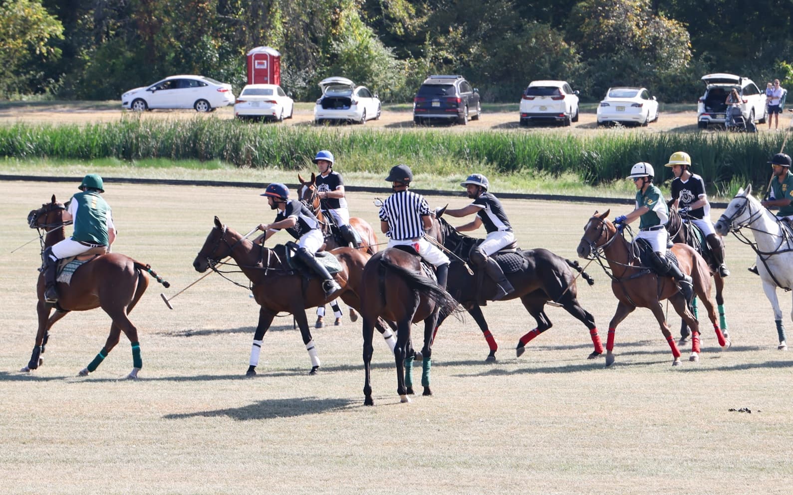 Riders and horses in play at Shannon Hill Polo Club