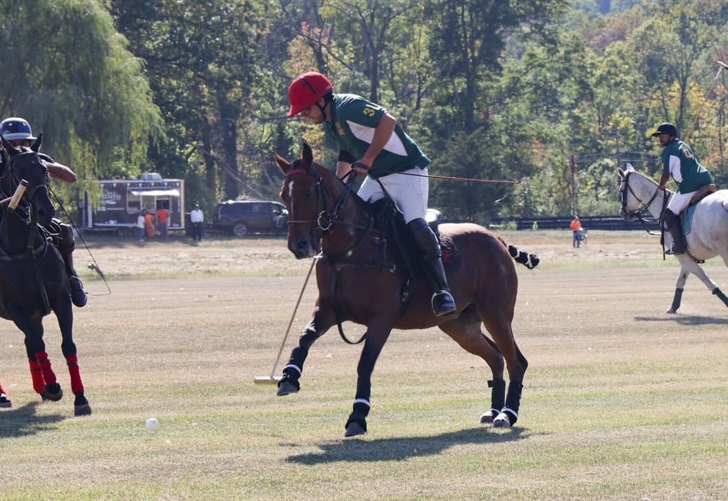Nearside Backhand Image