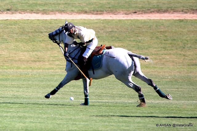Nearside Forehand Image