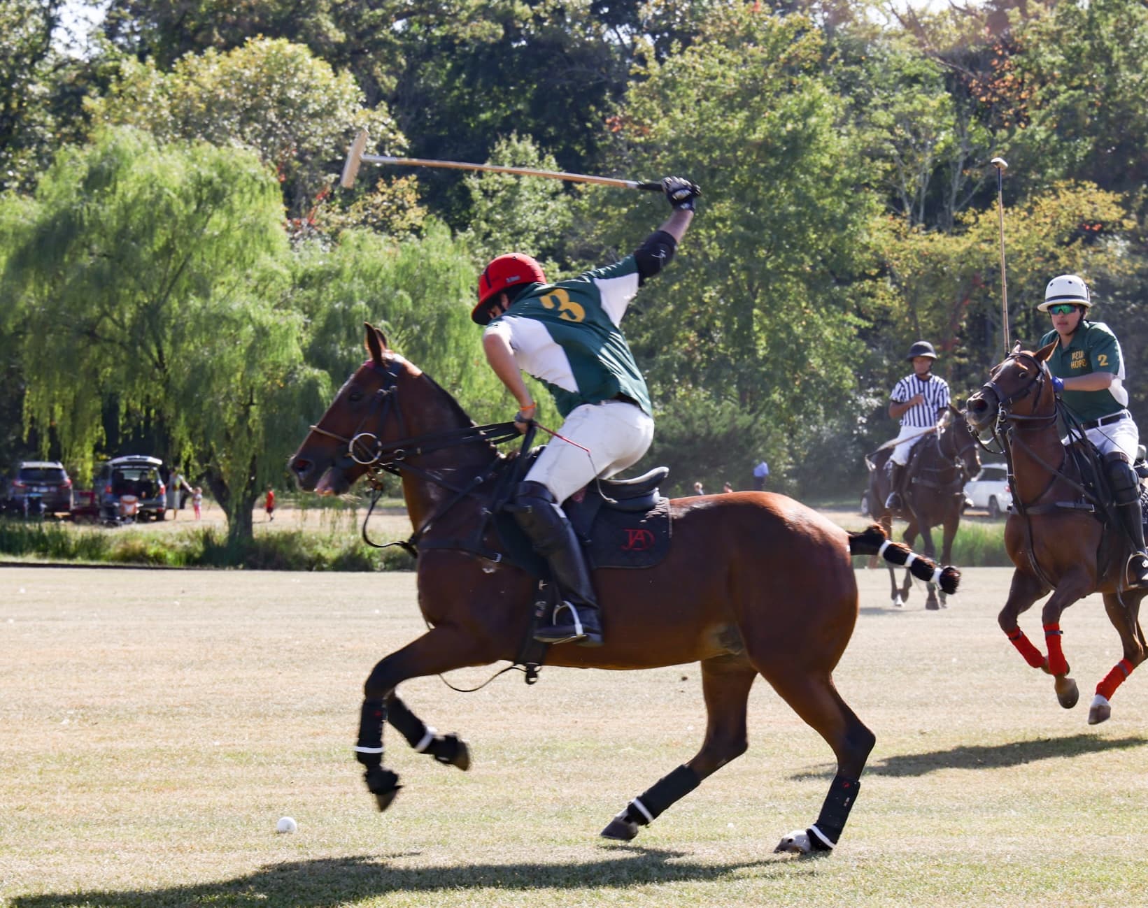 Offside Backhand Image
